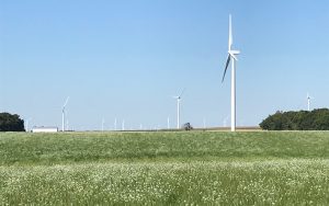 Field with wind turbines in background
